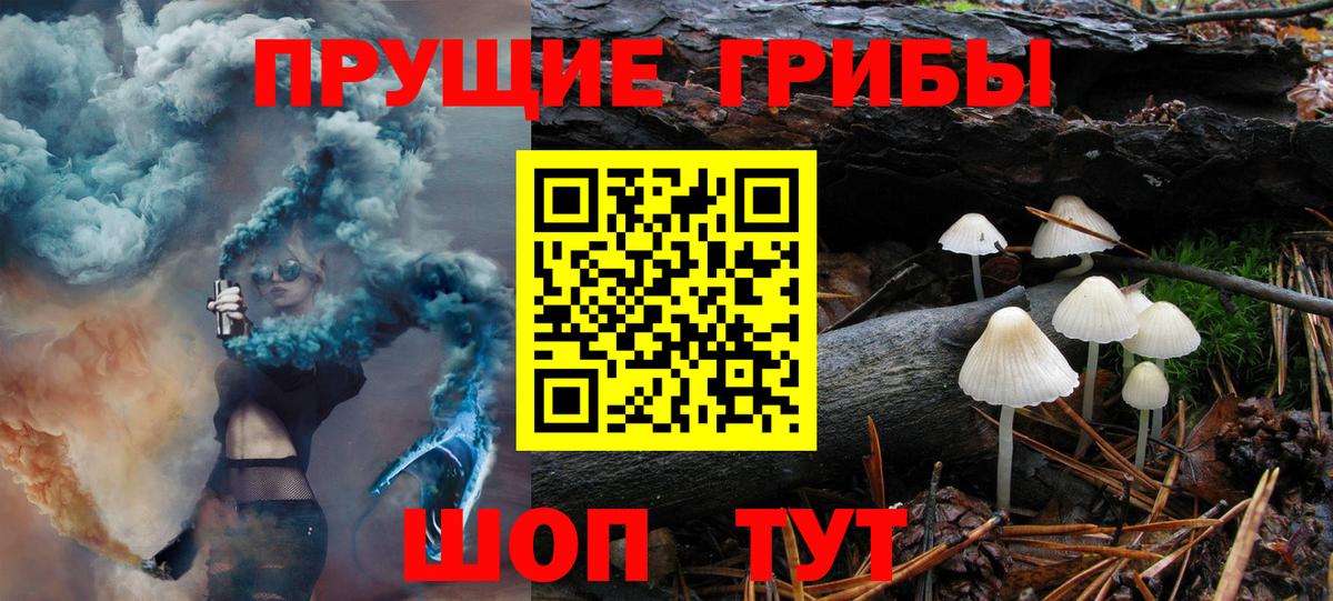 Уварово  Псилоцибиновые грибы Psilocybe  Вход с VPN 